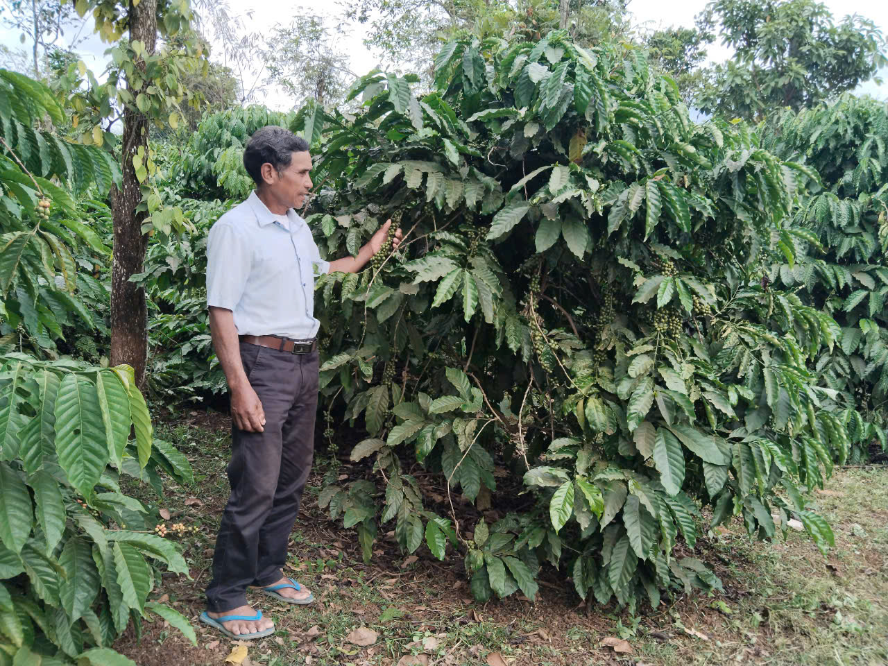 Phát huy vai trò của tổ chức Hội Phụ Nữ trong công tác ủy thác vốn vay từ Ngân hàng Chính sách xã hội